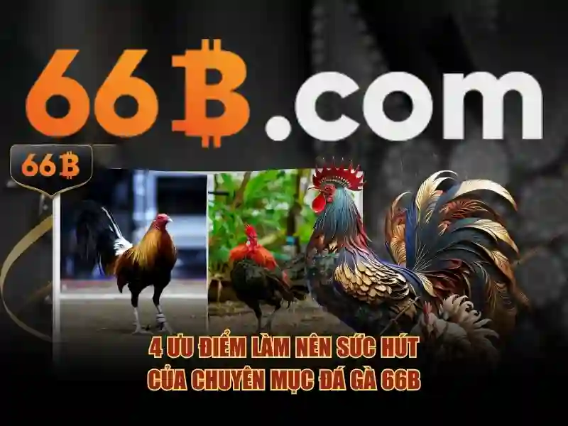 điều khoản 66B - 66B