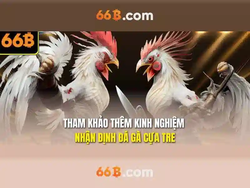 trải nghiệm slot - 66B