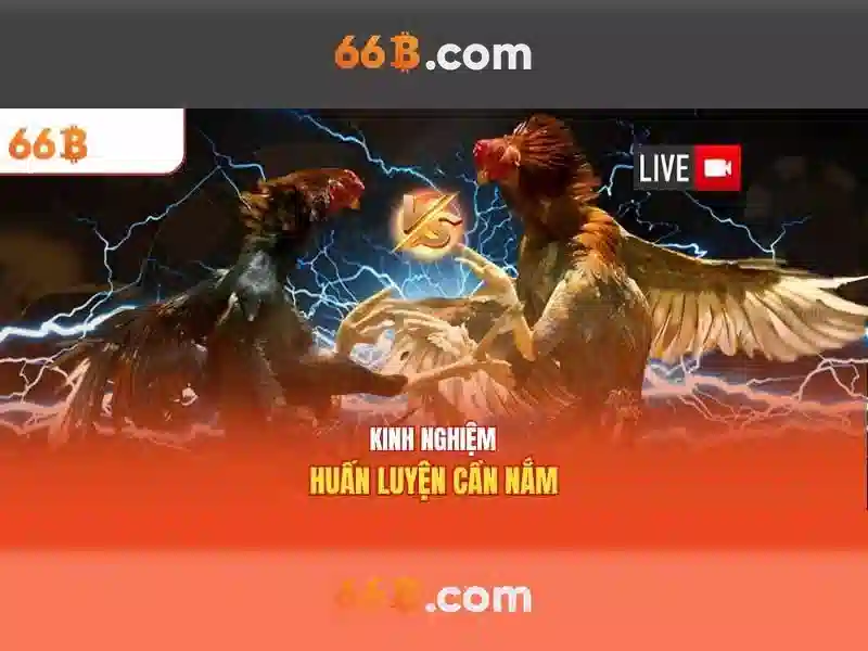 cờ caro trực tuyến - 66B