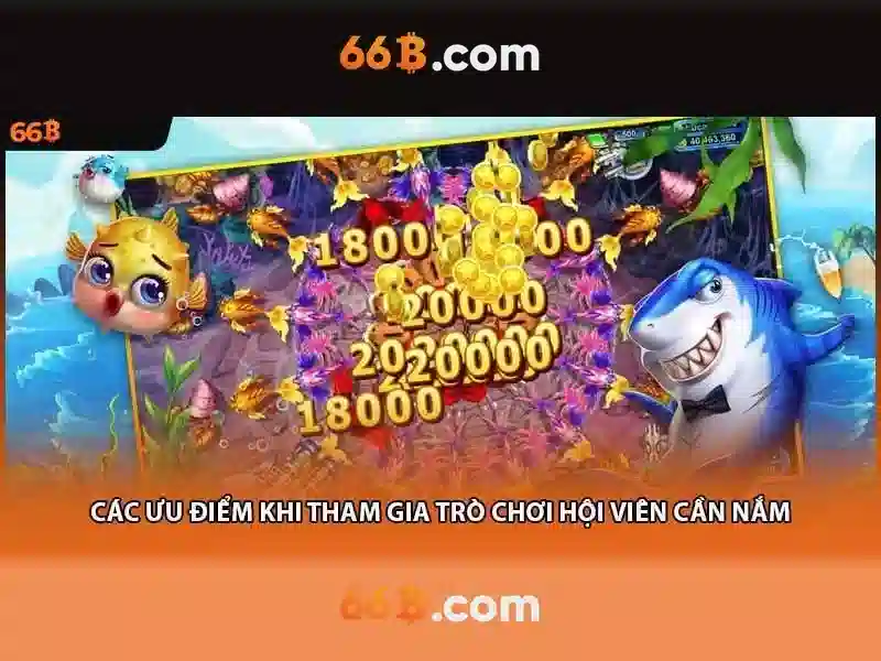  Slot 66B - 66B