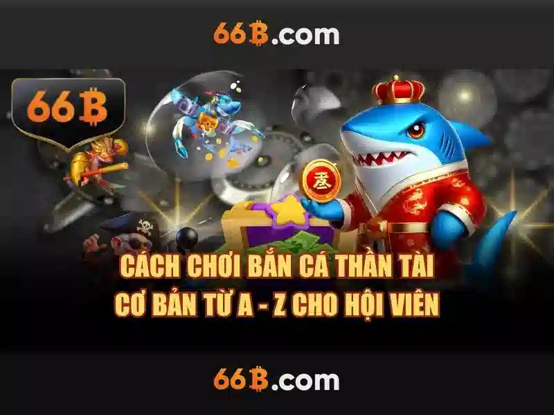Điều khoản dịch vụ 66B: Bảo vệ quyền lợi khi tham gia cá cược - 66B