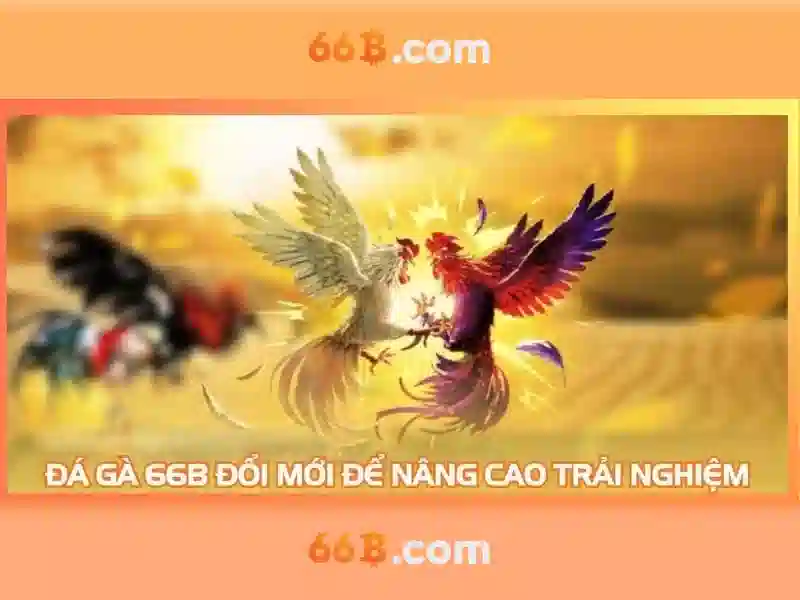  66b mới nhất - 66B