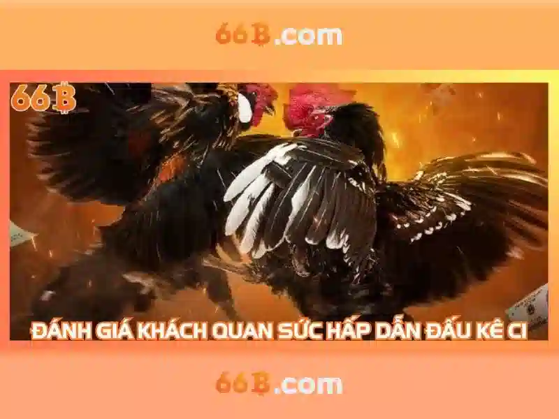 66b: Trải nghiệm cá cược trực tuyến đỉnh cao năm 2026