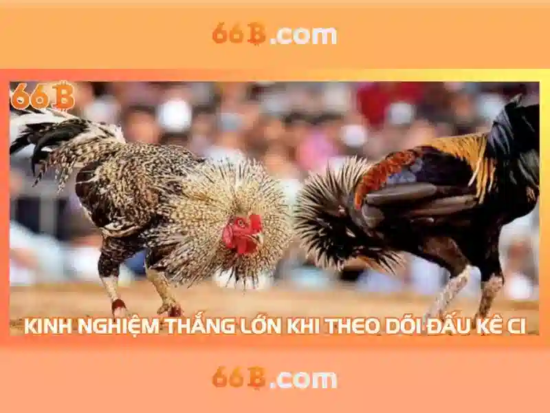  Slot 66B luôn thắng - 66B