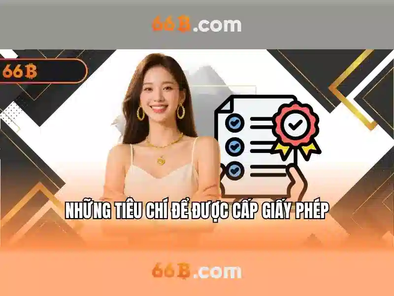 dịch vụ hỗ trợ 66b - 66B