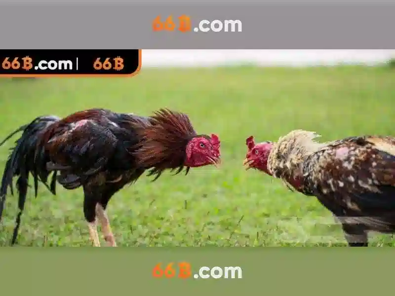 66B - Trải Nghiệm Slot Đỉnh Cao Tại 66B - 66B