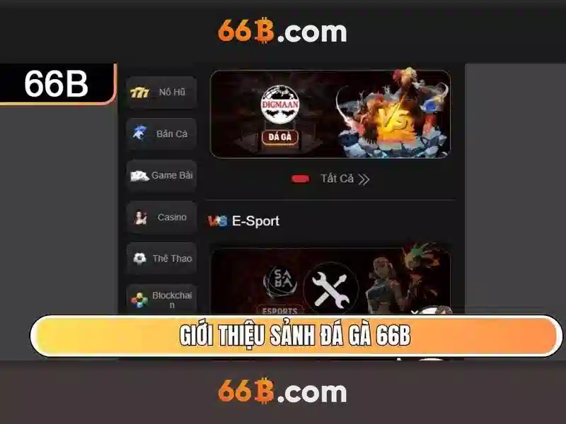 Kinh Nghiệm Cá Cược 66B - Tổng Hợp Code 66B Hữu Ích 2026 - 66B