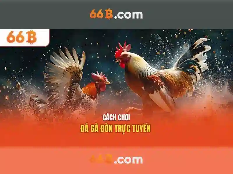  thể thao - 66B
