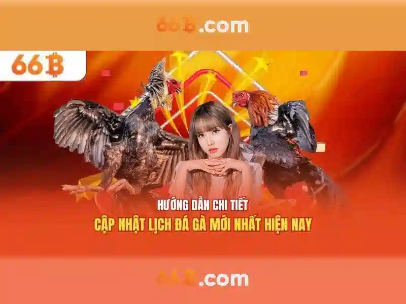 cá cược - 66B