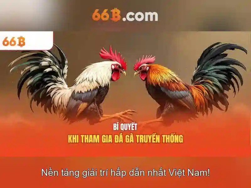  khuyến mãi hấp dẫn - 66B