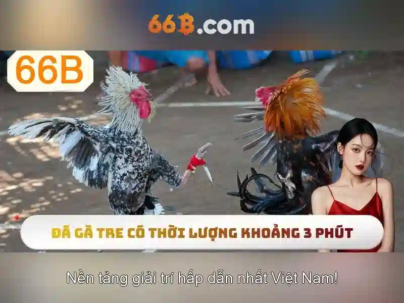 hỗ trợ 24/7 - 66B