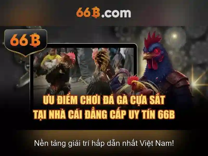 66B - 66B
