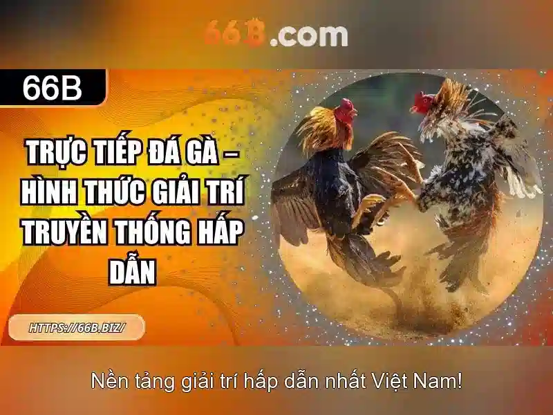 66B - 66B