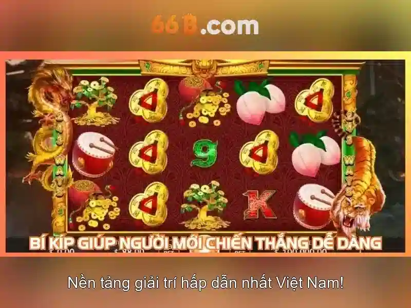  dịch vụ - 66B