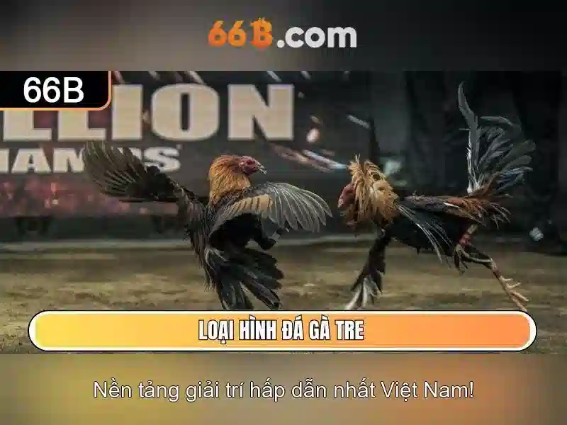 dịch vụ rút tiền 66b - 66B