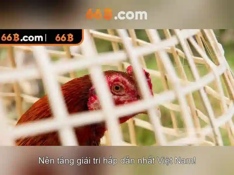  casino online - 66B