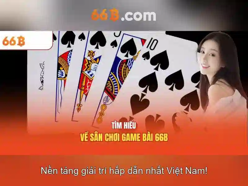 quyền riêng tư - 66B