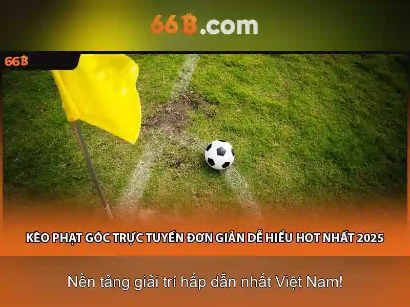 liên hệ 66B - 66B
