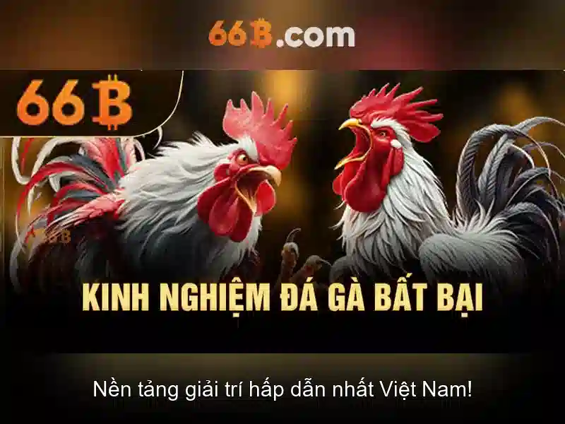 cờ caro 66B - 66B