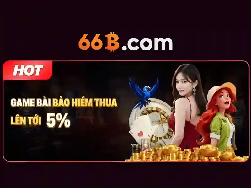 hỗ trợ 66b - 66B