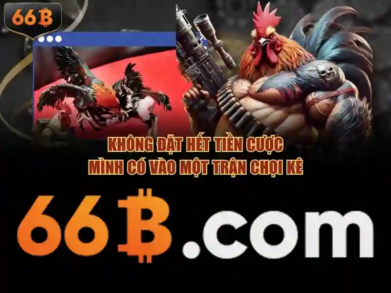 đăng ký 66B - 66B